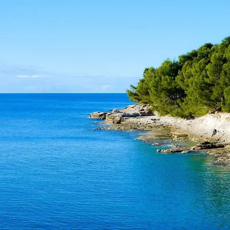 Sunsplash * Pula