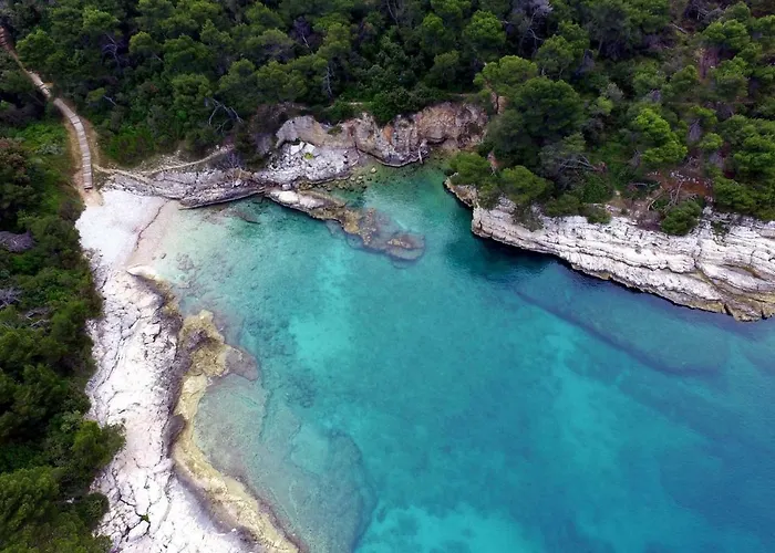 아파트 Sunsplash *